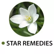 Star Remedies Essences
